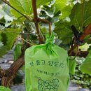 손가네 농장 이미지