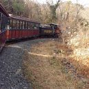 윤영농장 이미지