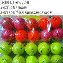 이글엑스 이미지