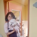 나보다 예쁘개 이미지