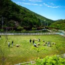 남해-179 이미지