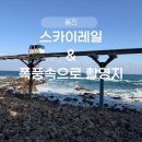 스카이 | 울진 스카이레일 후기｜폭풍속으로 촬영지 함께 다녀온 죽변 여행