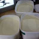 세곡초교 이미지