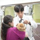 원러브동물의료센터 이미지