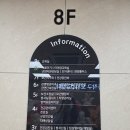 모성약국 | [임신 6주차] 임신확인서 발급 후 임신 초기 임산부 해야할 일 TO DO LIST