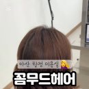 꼼무드헤어 - 천안시 서북구 성성5로 113 | 꼼무드헤어
