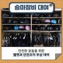 신경주대학교 승마장 이미지