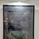 거제지심도 이미지