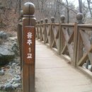구봉1교 Daum카페