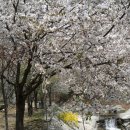 옥당걸숲속관광농원 이미지