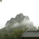 이프로