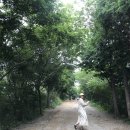 2019 남해/남해 가볼만한 곳 / 보리암/ 금산산장/돌창고프로젝트