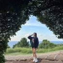 성산구 ⓒ-29 | 제주 아일랜드프로젝트 올레점 JEJU 프린팅 티셔츠 맨투맨 제주기념품
