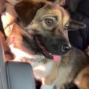 오늘도맑음 이미지