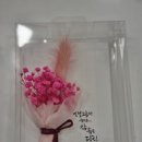 아이엠데이지