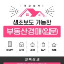 부동산 경매 입문&실전 과정 이미지