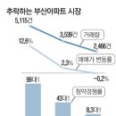 상  지 이미지