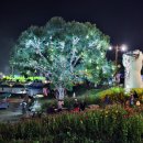 봉평메밀 허생원메밀국수 이미지