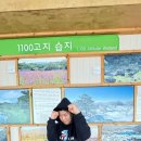 강철복싱 이미지