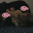 몰리홀릭 이미지