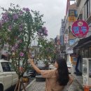 문화로 89번길 이미지