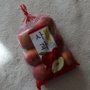 씽씽청과