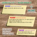 나서울은혜교회 이미지