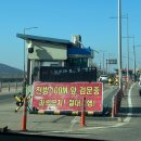 [애견동반] 초겨울 교동도 대룡시장 나들이