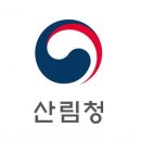 영림벌목