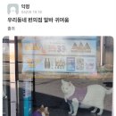 우리동네 편의점 알바 귀여움 이미지