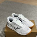 (주)사이클론 | 탁구 입문 신발 고민 끝! 가성비 갑 미즈노 사이클론 스피드 5