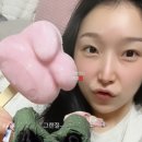 신도담 이미지