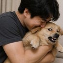 나도 모르게 강아지를 괴롭혔나? 반려견이 극도로 무서워하는 주인의 행동 5가지 이미지