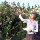 평화공원 내 이미지