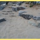 갯벌생태 체험장 이미지