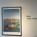 레알피부전문동물병원 이미지