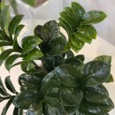 남창농장 이미지