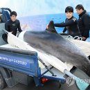 고래안마시술소 이미지