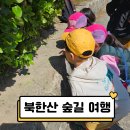 북한산초등 | 북한산 숲길여행 생태숲체험 6살 아들 주말 예약 후기