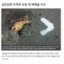 두꺼비 PC 이미지