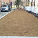 호산초등학교 병설유치원 이미지