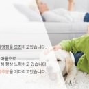 알프펫