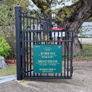 카페누비 | 전남 장성 황룡강 근처 카페누비 분위기 좋은 디저트 카페 내돈내산