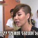 황산애견 이미지