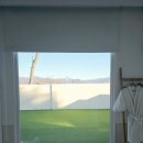 위클라드 자쿠지 펜션 | 경주애견동반숙소 완벽했던 위클라드애견풀빌라 실제 1박 이용 후기