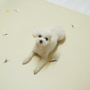 어 페일 블루닷 이미지