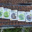 솔마1로 이미지