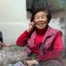 풍기장수인삼마을 이미지