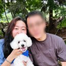자연농원 | 포천애견동반카페 추천! 자연 속 힐링공간 &#39;토일농원&#39; 후기