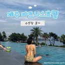 풀 - 전주시 완산구 홍산남로 83-19 | 제주 파르나스 호텔 수영장 인피티니풀 대만족 후기와 이용방법